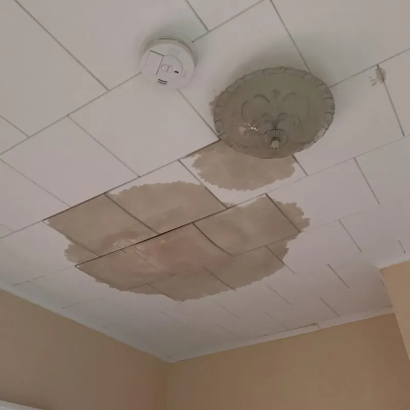 Ceiling Water Damage Repair in Benton County, IA