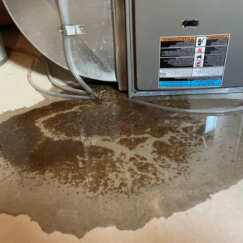 Pipe Burst and Leak Restoration in Benton County, IA