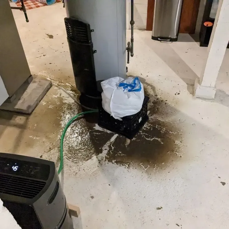 Sewage Backup Cleanup Service in Benton County, IA